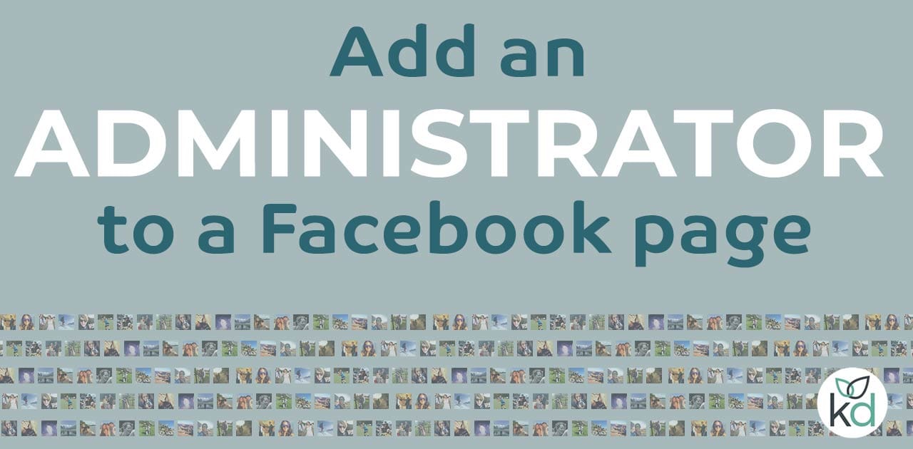 Add an administrator to a Facebook business page